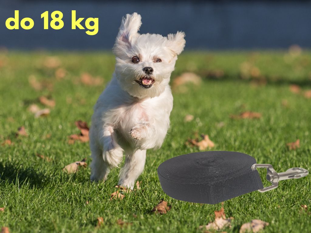 Stopovací vodítko pro malé psy